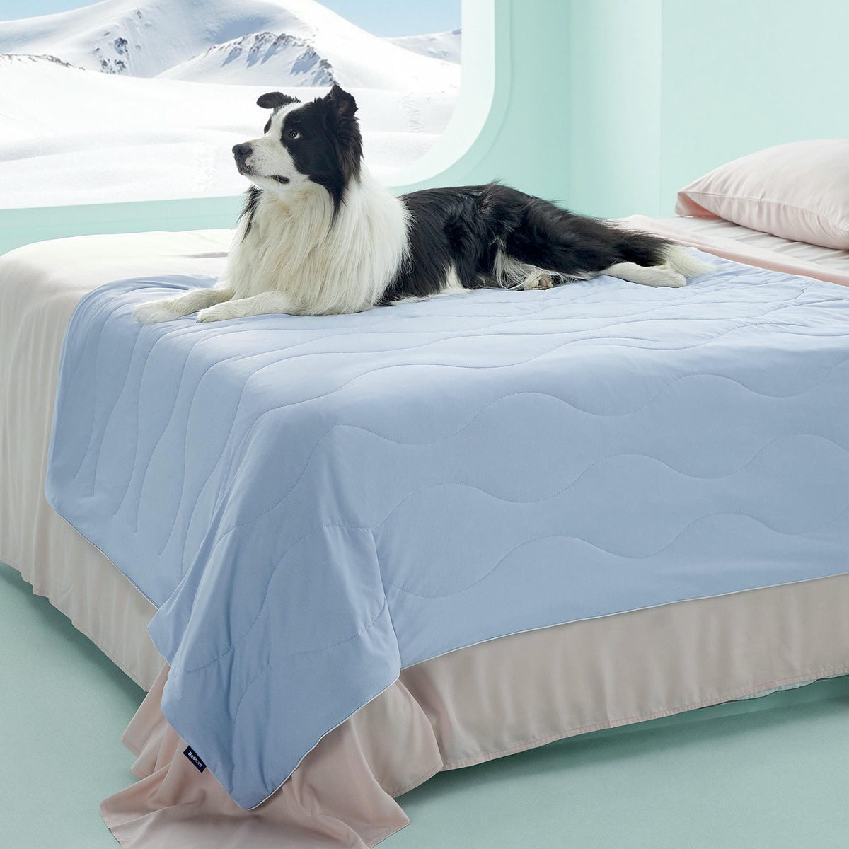 Textured Pet Cooling Blanket