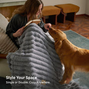 2-in-1 Comforter Set
