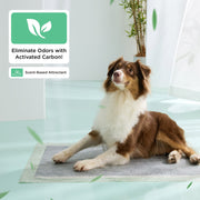 Disposable Dog Pee Pads