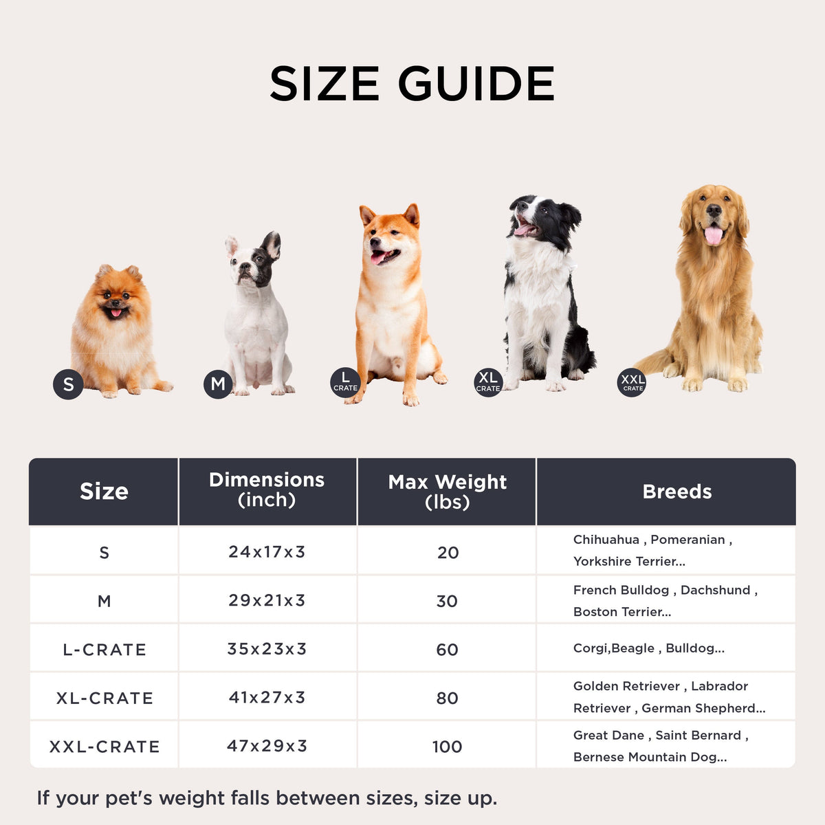 Fluffy Dog Mat