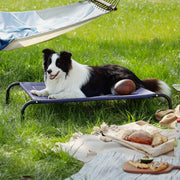 Elevated Dog Bed