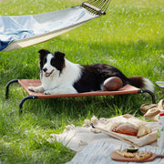 Elevated Dog Bed