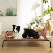 Elevated Dog Bed