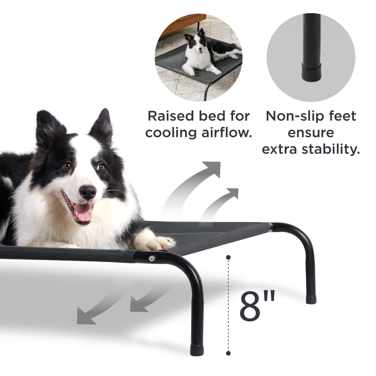 Elevated Dog Bed