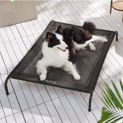 Elevated Dog Bed