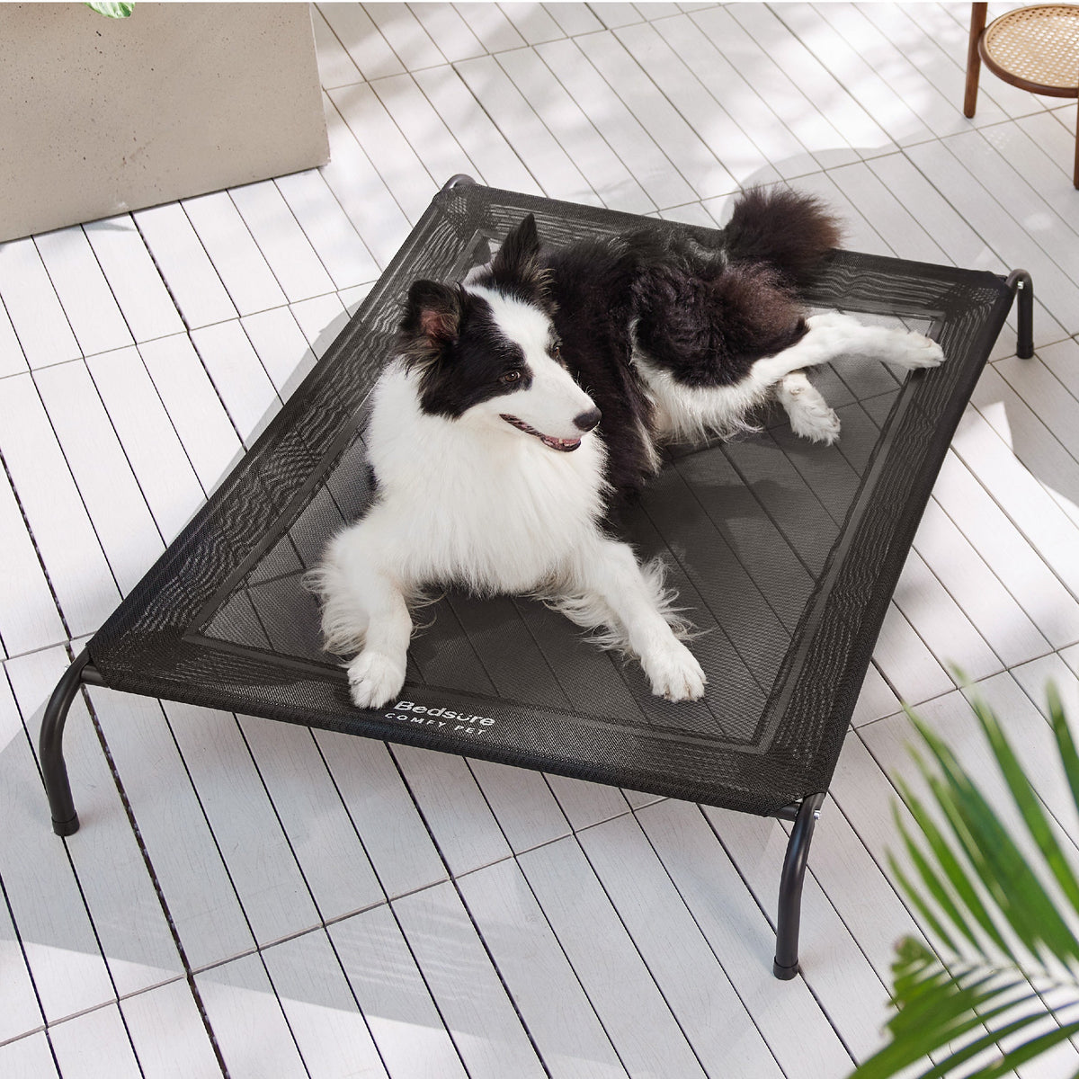 Elevated Dog Bed