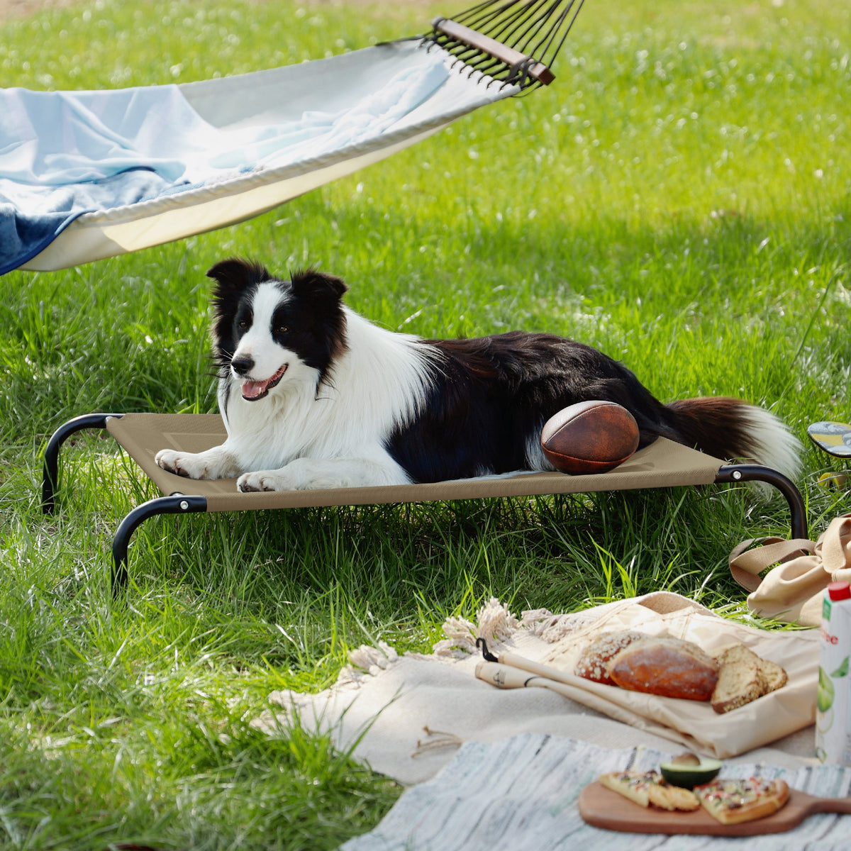 Elevated Dog Bed