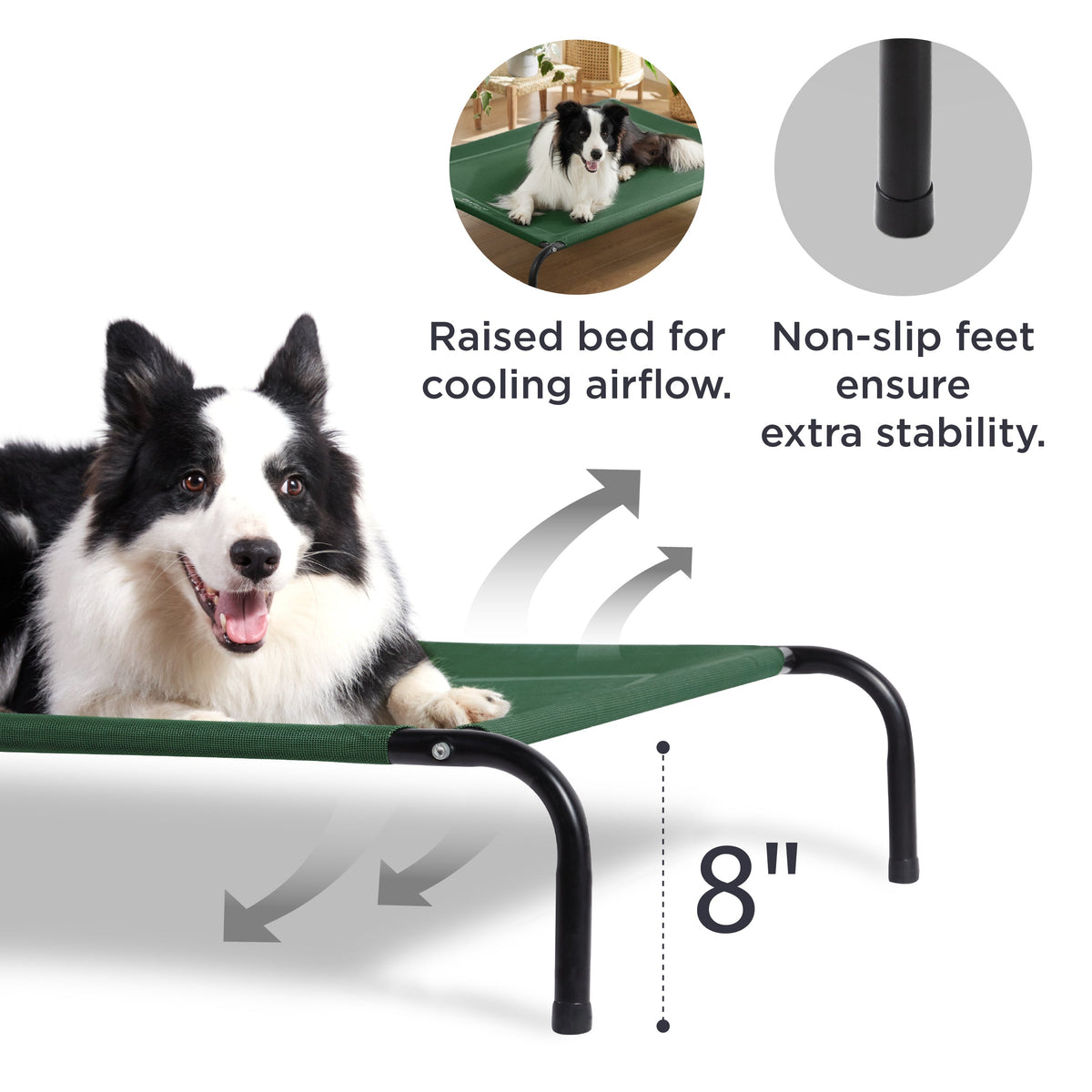 Elevated Dog Bed