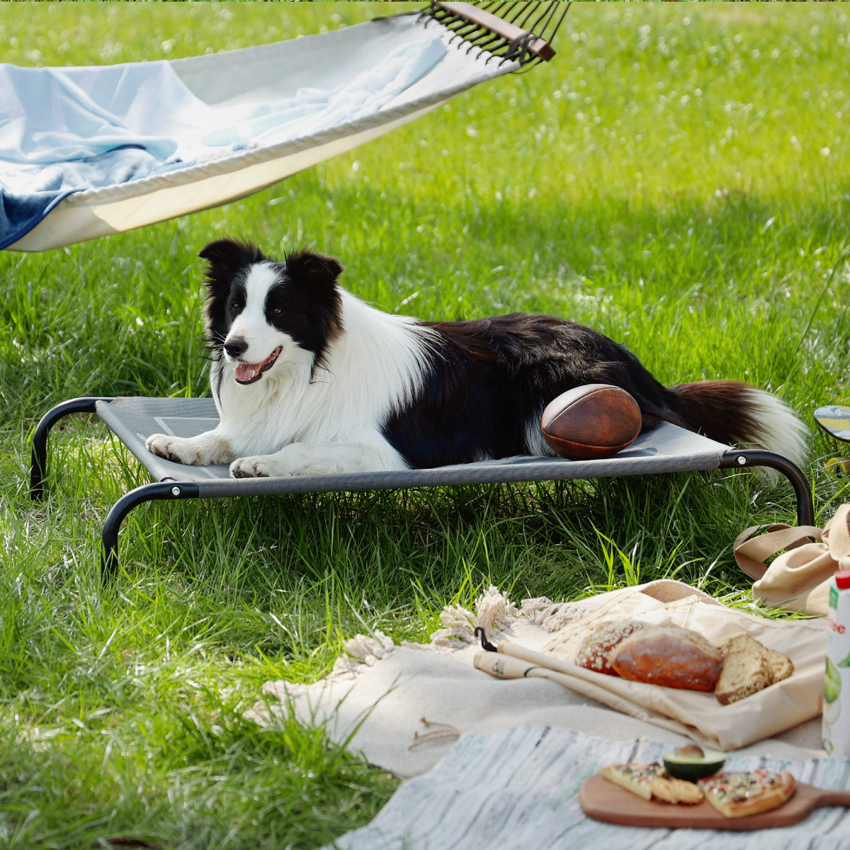 Elevated Dog Bed