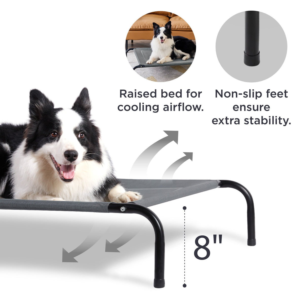 Elevated Dog Bed