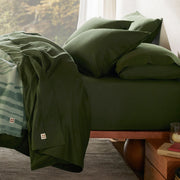 Organic Cotton Sheet Set
