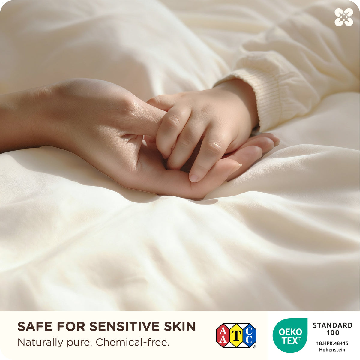 Organic Cotton Sheet Set