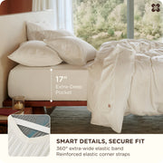 Organic Cotton Sheet Set