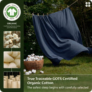 Organic Cotton Sheet Set
