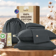 Organic Cotton Sheet Set