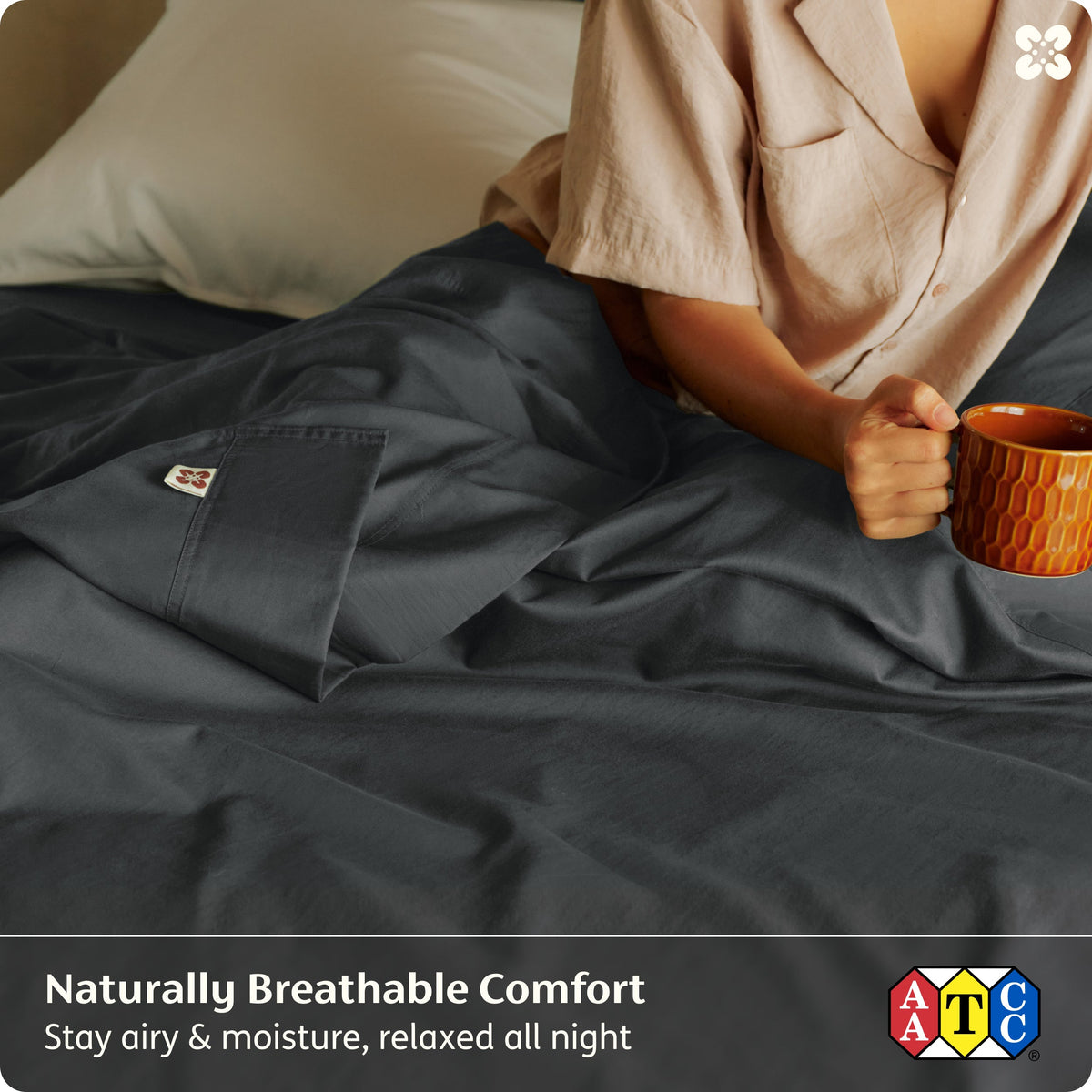 Organic Cotton Sheet Set