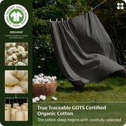 Organic Cotton Sheet Set