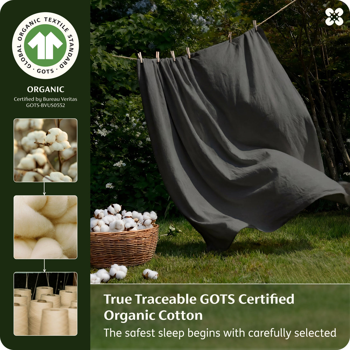 Organic Cotton Sheet Set