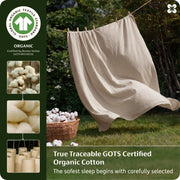 Organic Cotton Duvet Cover Set