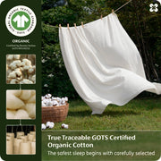 Organic Cotton Duvet Cover Set