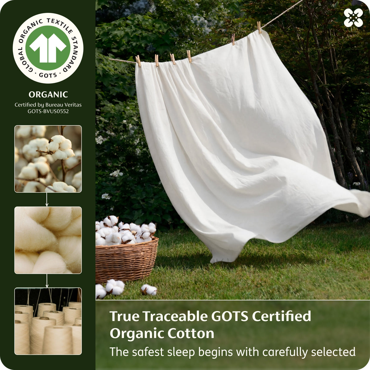 Organic Cotton Duvet Cover Set