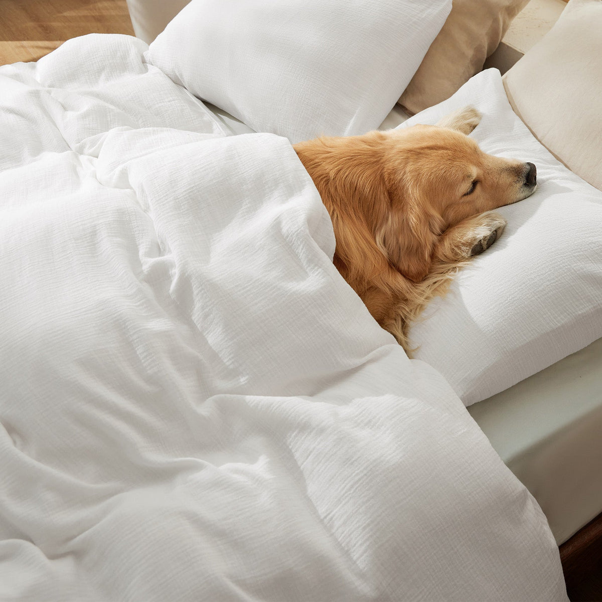 Rayon From Bamboo Cotton Muslin Duvet Cover Set