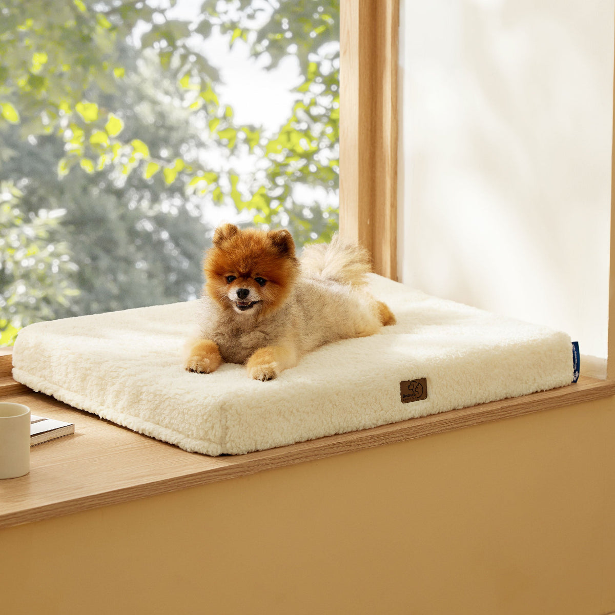 Self-Warming Egg Foam Pet Mat