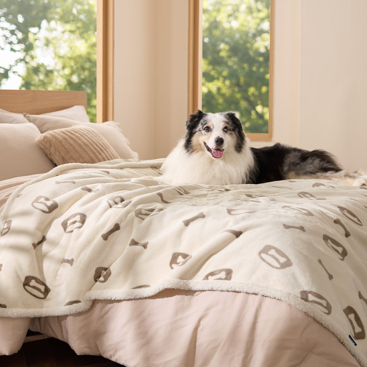 Reversible Waterproof Sherapa Blanket