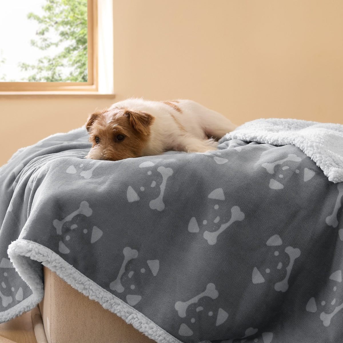 Reversible Waterproof Sherapa Blanket