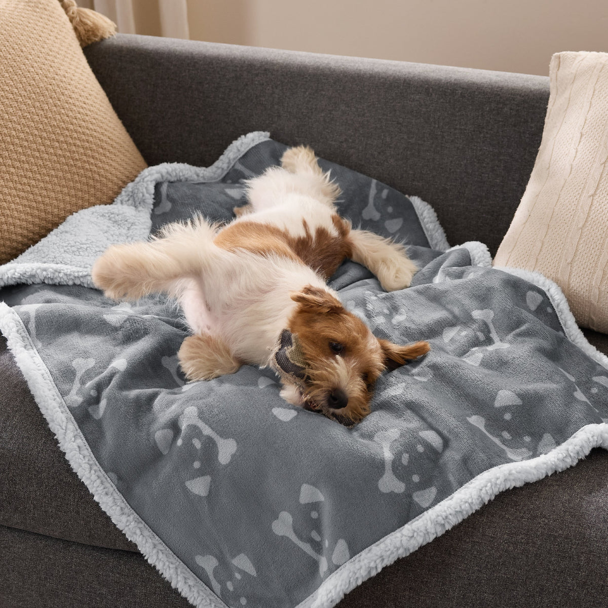 Reversible Waterproof Sherapa Blanket