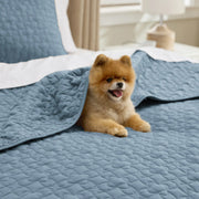 Lucky Star Quilt Set