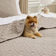Lucky Star Quilt Set