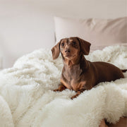 Luxe Faux Fur Blanket