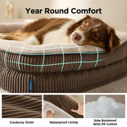 Oval Bolster Dog Bed