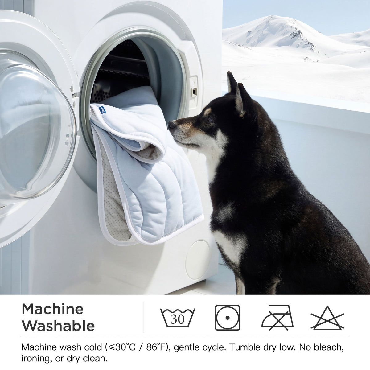 Wave Cooling Dog Mat