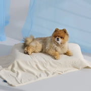 Cooling & Breathable Lightweight Pet Blanket
