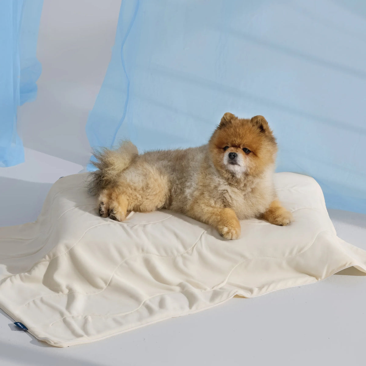 Cooling & Breathable Lightweight Pet Blanket