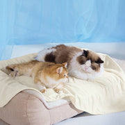 Cooling & Breathable Lightweight Pet Blanket