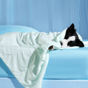 Cooling & Breathable Lightweight Pet Blanket