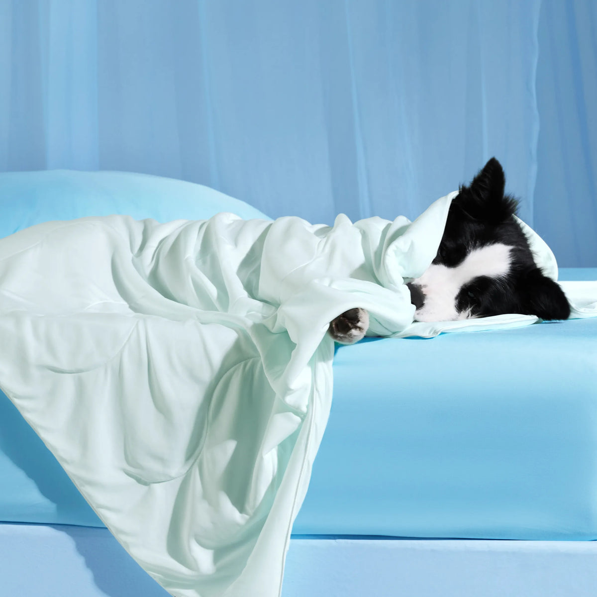 Cooling & Breathable Lightweight Pet Blanket