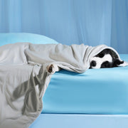 Cooling & Breathable Lightweight Pet Blanket