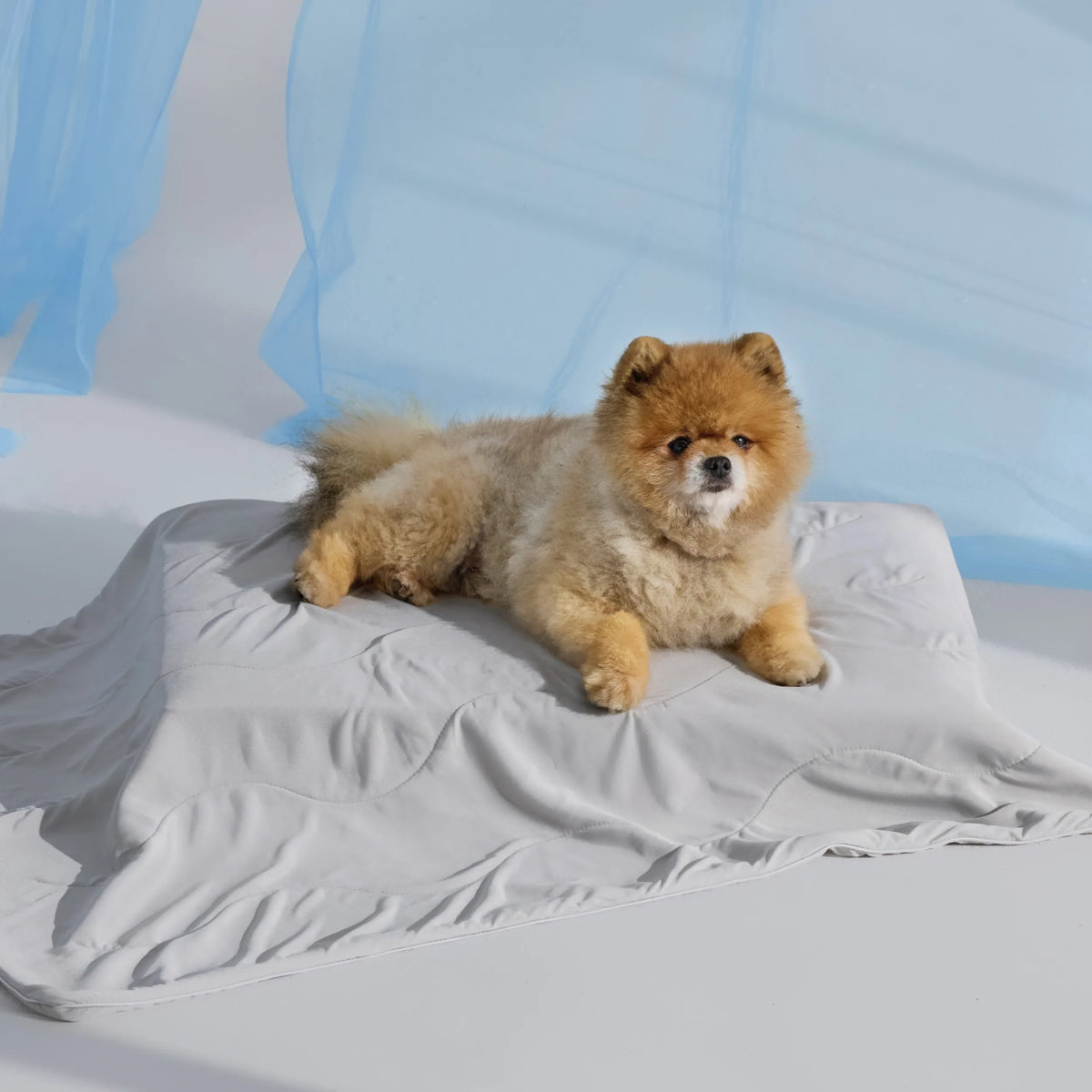 Cooling & Breathable Lightweight Pet Blanket
