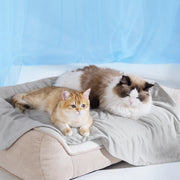 Cooling & Breathable Lightweight Pet Blanket