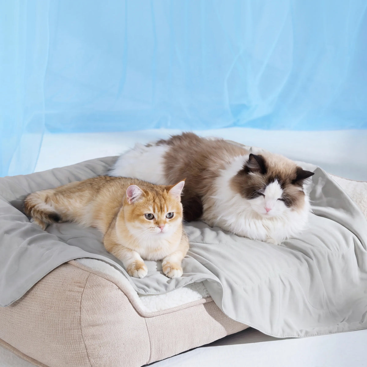 Cooling & Breathable Lightweight Pet Blanket