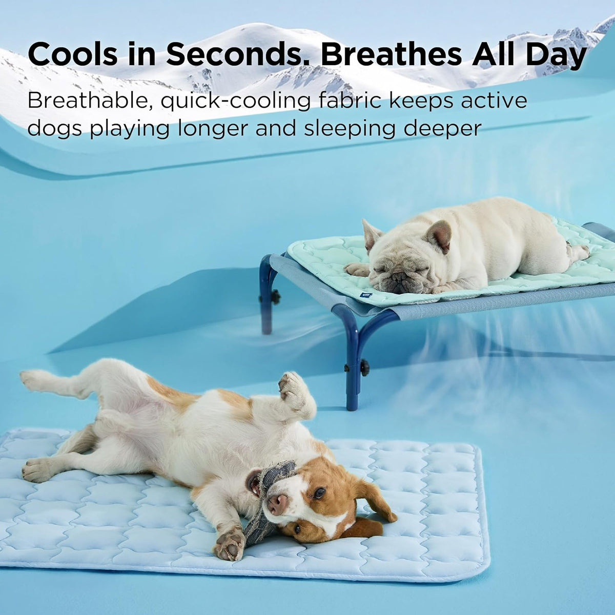 Cooling Dog Mat