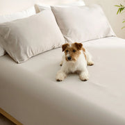 BareNights Viscose Derived From Bamboo Fitted Sheet Set