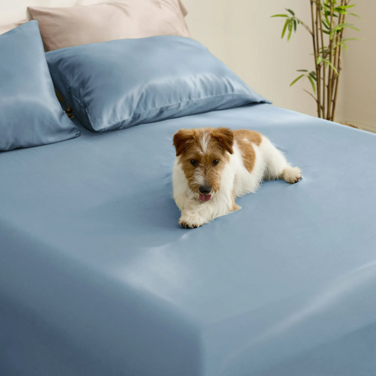 BareNights Viscose Derived From Bamboo Fitted Sheet Set