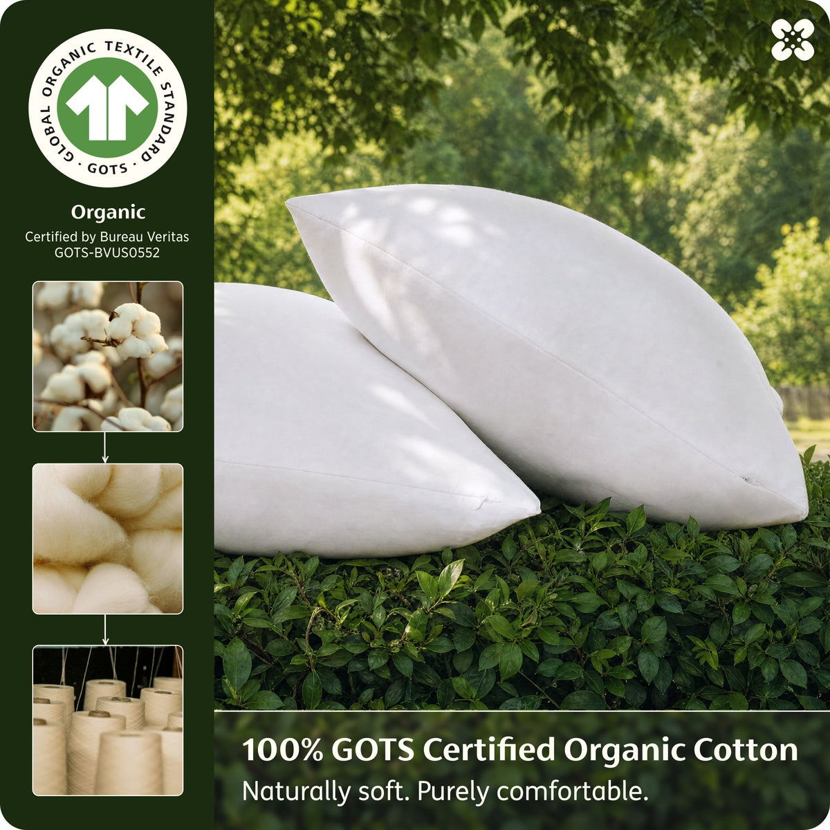 Organic Cotton Pillowcases