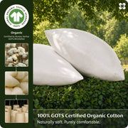 Organic Cotton Pillowcases