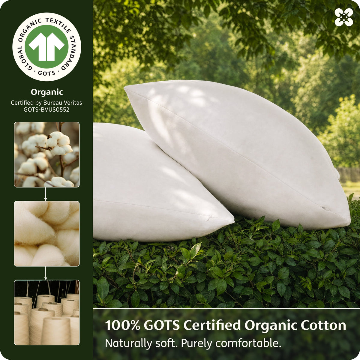 Organic Cotton Pillowcases